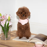 Camille Coton Bandana - Blush Pink