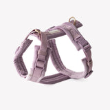 Lilac - velvet dog harness