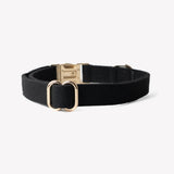 Black - canvas dog collar