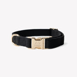 Black - canvas dog collar