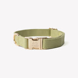 Green - canvas dog collar