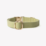 Green - canvas dog collar