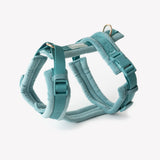 Blue - velvet dog harness