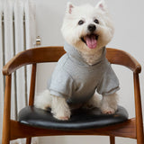 Cookie Hoodie - Heather gray