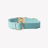 Blue - canvas dog collar