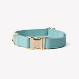 Blue - canvas dog collar