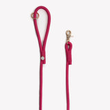 Magenta - braided rope leash