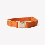 Terracotta - canvas dog collar