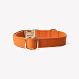 Terracotta - canvas dog collar