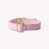 Pink - canvas dog collar