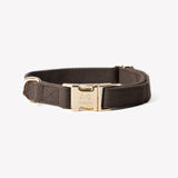 Brown - canvas dog collar