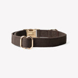 Brown - canvas dog collar
