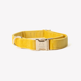 Yellow - velvet dog collar