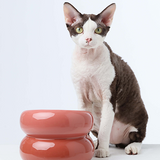 Soufflé Pet Bowl - Pink