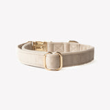 Sand - velvet dog collar