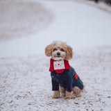 Love Note Reversible Handmade Bandana