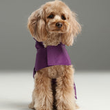 Capsule Raincoat - Purple