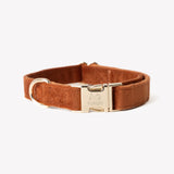 Clay - velvet dog collar