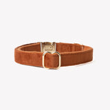 Clay - velvet dog collar