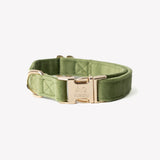Green - velvet dog collar