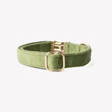 Green - velvet dog collar