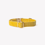 Yellow - velvet dog collar