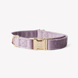 Lilac - velvet dog collar