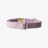 Lilac - velvet dog collar