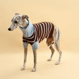 Bluebell Stripes Sweater