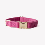 Magenta - velvet dog collar