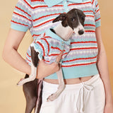 Ocean Blue Ruffle Crochet Short Sleeve Polo Shirt