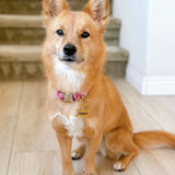 Sheruff Badge
