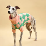 Sunday Brunch in Brooklyn Sweater