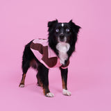 Ziggy Cotton Dog Quarter-Zip Polo