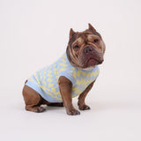Seaside Swirl Cotton Knitted Dog Sweater