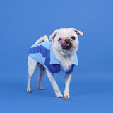 Ziggy Cotton Dog Quarter-Zip Polo