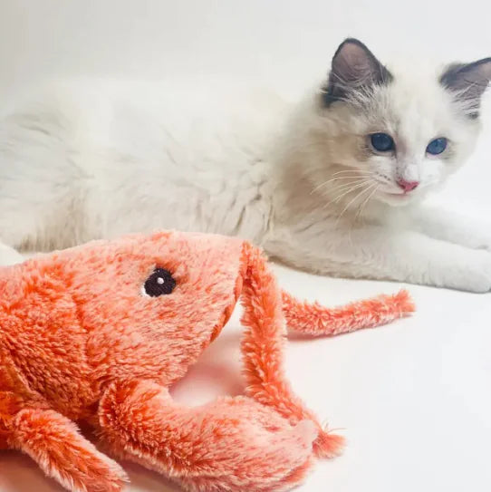Electric Jumping Shrimp Pet Toy