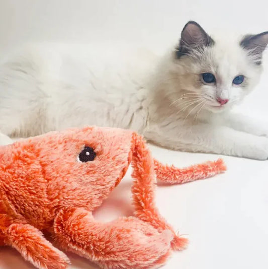 Electric Jumping Shrimp Pet Toy