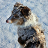 Sand - sherpa dog harness
