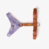 Lavender and Terracotta - Dog strap Harness