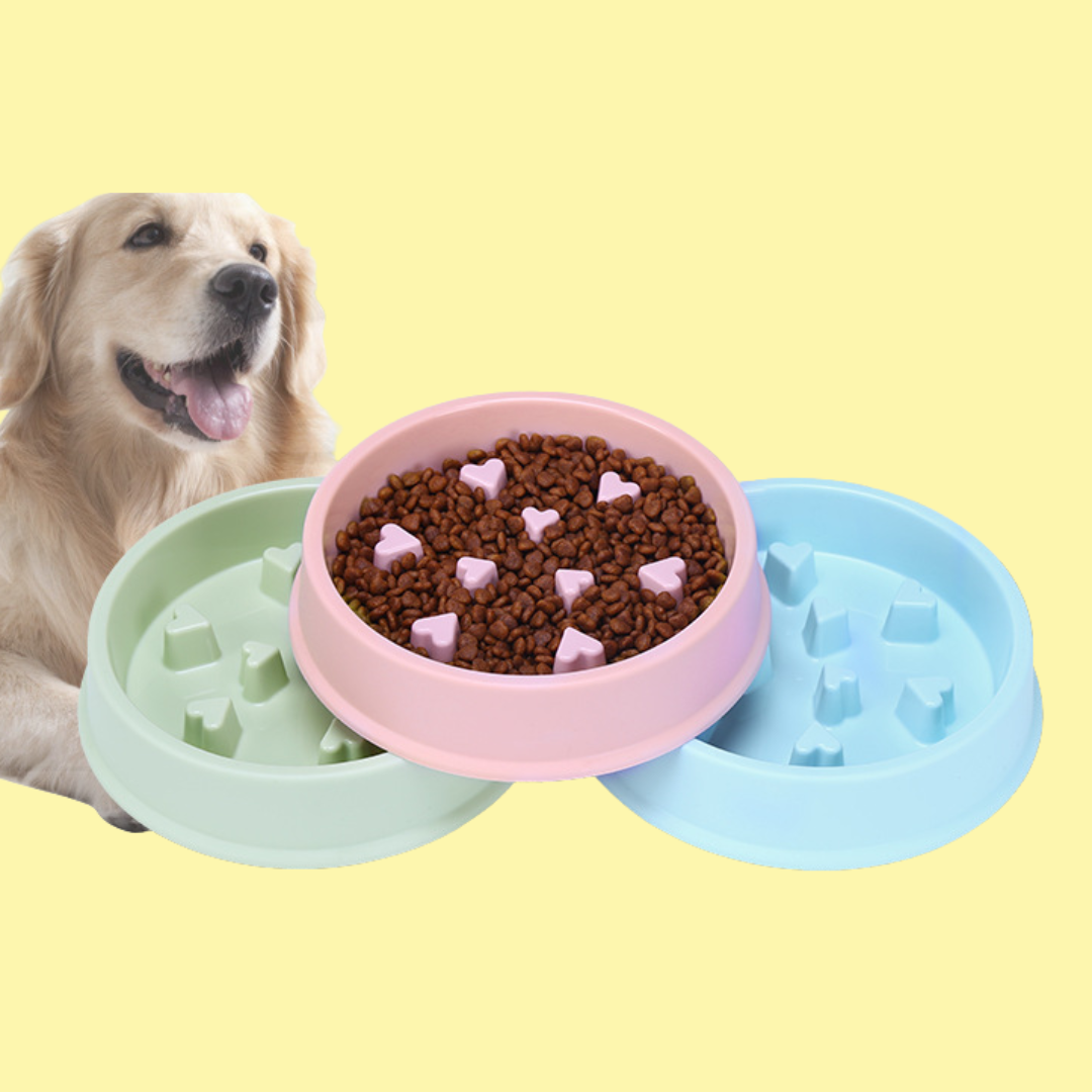 Anti-Choking Dog Puzzle Slow Feeder Bowl for Healthy Eating