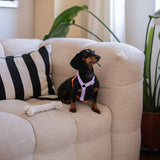 Lavender and Terracotta - Dog strap Harness