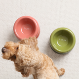 Soufflé Pet Bowl - Amber Orange