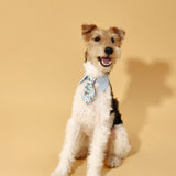 Blue Botanique Necktie Bandana