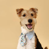 Blue Botanique Necktie Bandana
