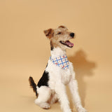 Blue Gingham Cherry Bandana