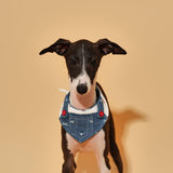 Reversible Denim Cherry Overalls Pet Bandana