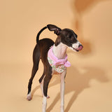 Bowtiful Garden Pink Floral Bandana