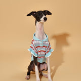 Ocean Blue Ruffle Crochet Short Sleeve Polo Shirt