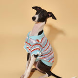 Ocean Blue Ruffle Crochet Short Sleeve Polo Shirt